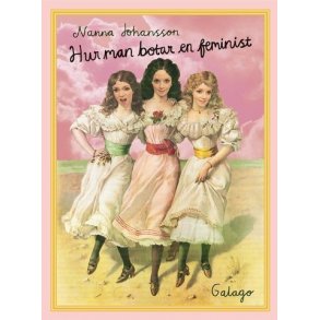 Hur man botar en feminist