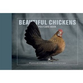Beautiful Chickens Postcard Book