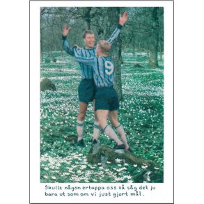 Vykort - Jan Stenmark ''M�l''