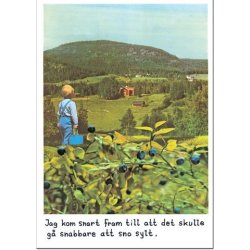 Vykort - Jan Stenmark ''Bl�b�r''