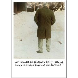Vykort - Jan Stenmark ''Gr�sparv''