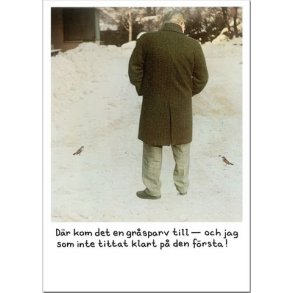 Vykort - Jan Stenmark ''Gr�sparv''