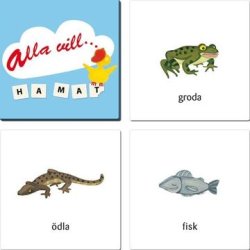 Alla vill ha mat Lotto