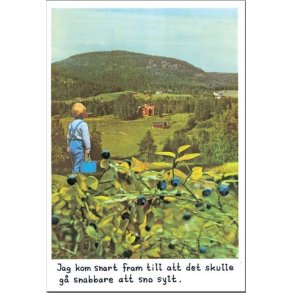 Magnet - Jan Stenmark 'Blbr'