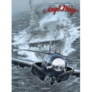 Angel wings 7 - MiG Madness