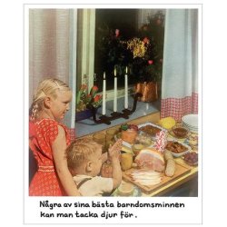 Magnet - Jan Stenmark 'Barndomsminne'