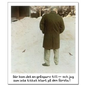 Magnet - Jan Stenmark 'Grsparv'