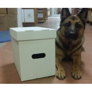 Plast och backerboards